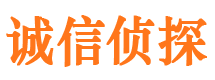 台江侦探